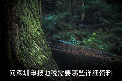 深圳市的地稅申報是什么，深圳市地稅怎么申報