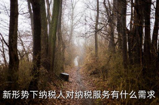 納稅服務(wù)的要求是什么，新形勢下納稅人對納稅服務(wù)有什么需求