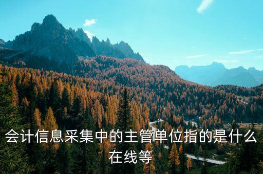 主管征收機關(guān)填什么，會計信息采集中的主管單位指的是什么在線等