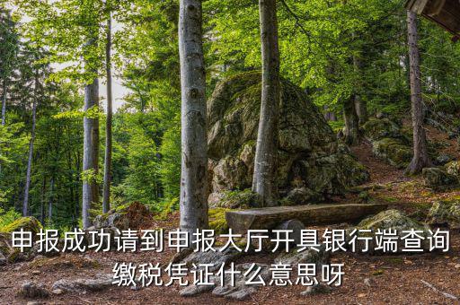 申報(bào)成功請(qǐng)到申報(bào)大廳開(kāi)具銀行端查詢(xún)繳稅憑證什么意思呀