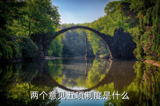 五項(xiàng)辦稅制度是什么，兩個(gè)意見五項(xiàng)制度是什么