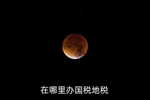 什么在地稅辦，在哪里辦國稅地稅