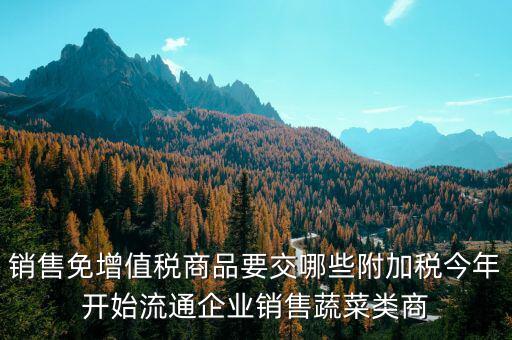 免稅商品銷(xiāo)售要交什么稅，銷(xiāo)售免增值稅商品要交哪些附加稅今年開(kāi)始流通企業(yè)銷(xiāo)售蔬菜類(lèi)商