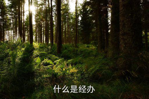 稅務(wù)文書經(jīng)辦是什么意思，什么是經(jīng)辦