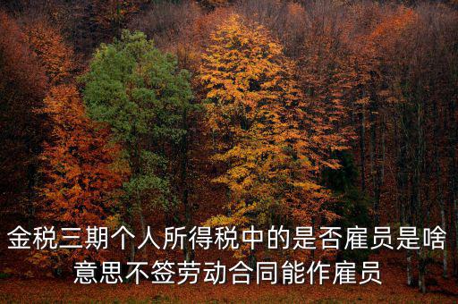 金稅非雇員什么意思，地稅金三期 個(gè)稅申報(bào)表中的雇員非雇員是什么意思 該填哪些人