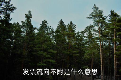 什么是流向票，發(fā)票流向不附是什么意思