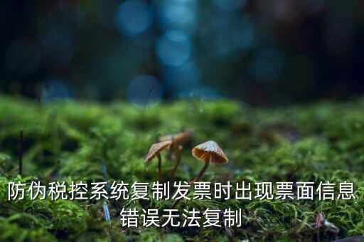 防偽稅控系統復制發(fā)票時出現票面信息錯誤無法復制