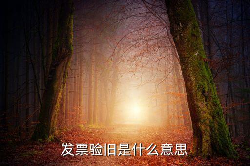 增值稅驗舊是什么意思，發(fā)票驗證時提示舊系統(tǒng)已驗舊是什么意思