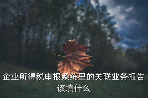 企業(yè)所得稅申報系統(tǒng)里的關聯業(yè)務報告該填什么