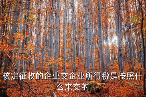 核定稅稅率是按照什么作參照的，稅率按照哪個來定