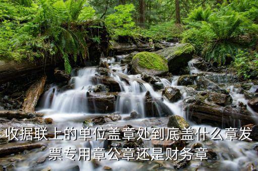 收據(jù)上面蓋什么章，收款收據(jù)上蓋什么章是財(cái)務(wù)章還是公章