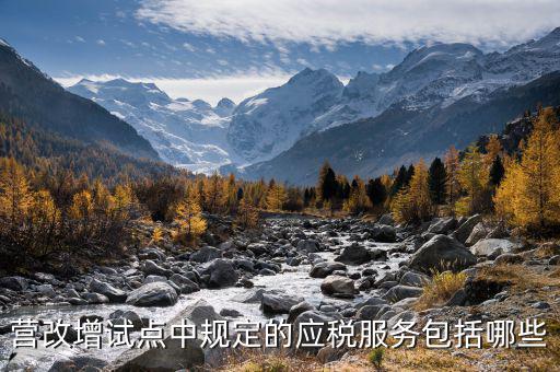 應(yīng)稅服務(wù)中止指什么，小規(guī)模申報(bào)表中應(yīng)稅服務(wù)什么意思