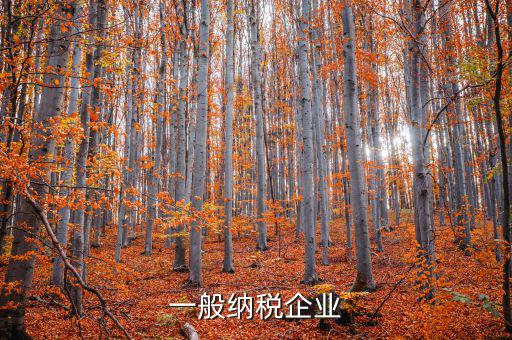 什么是增值稅一般納稅企業(yè)，什么是一般納稅人公司