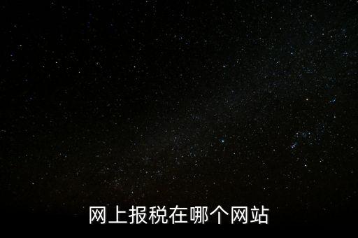 廣西網(wǎng)上辦稅的網(wǎng)址是什么意思，網(wǎng)上報(bào)稅在哪個(gè)網(wǎng)站