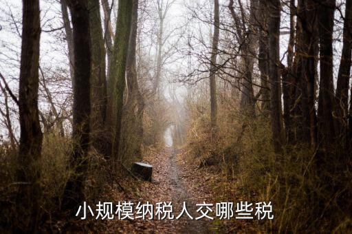 小規(guī)模都交什么稅，小規(guī)模納稅人要交什么稅