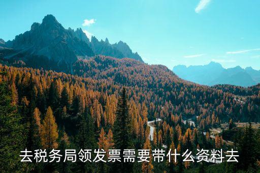 領(lǐng)定額發(fā)票需要帶什么，去稅務(wù)局領(lǐng)發(fā)票需要帶什么資料去