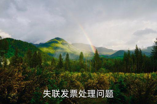 增值稅普通失聯(lián)發(fā)票是什么意思，增值稅普通發(fā)票是什么意思
