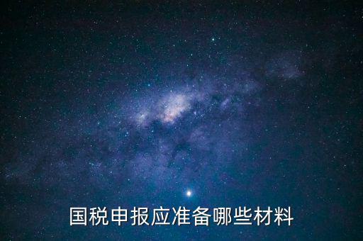 國稅申報應(yīng)準備哪些材料