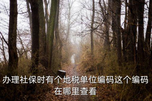 稅務(wù)局編號在什么位置，安康稅務(wù)機關(guān)地區(qū)編號在哪里