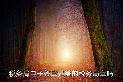 稅務(wù)局電子簽章是什么，在國(guó)稅系統(tǒng)電子簽章時(shí)為什么不是每次都提示輸入口令