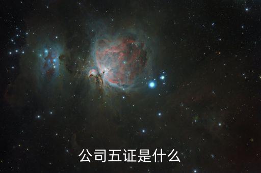 一般納稅人五證是什么意思，一般情況下公司的五證指得都是什么證