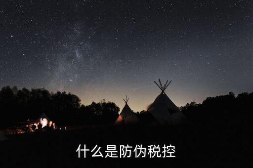 防偽稅控盤什么，什么是防偽稅控