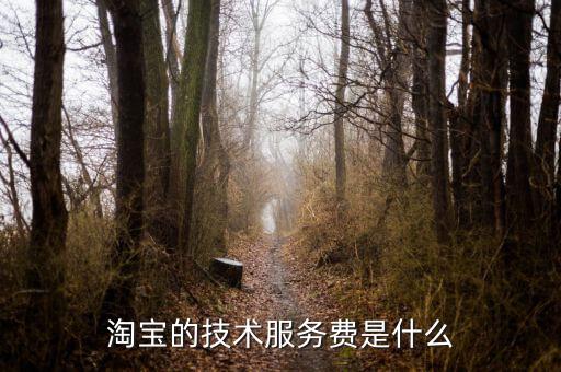 技術(shù)咨詢服務(wù)費(fèi)指什么，醫(yī)藥行業(yè)技術(shù)服務(wù)費(fèi)包含什么內(nèi)容