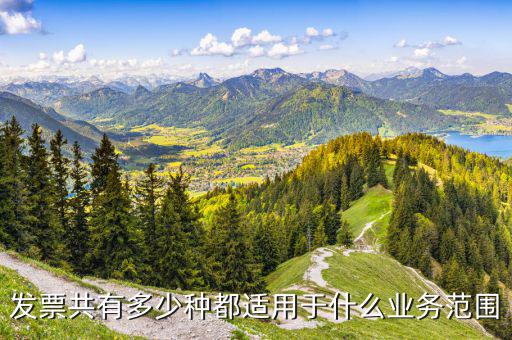 什么業(yè)務(wù)應(yīng)該專業(yè)發(fā)票，單位收費(fèi)開票1定要專業(yè)的