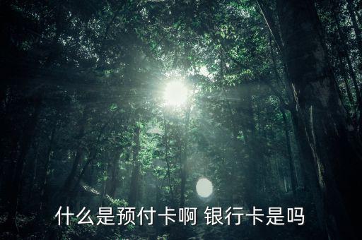 支付機構(gòu)預(yù)付卡是什么意思，銀聯(lián)預(yù)付卡是什么意思
