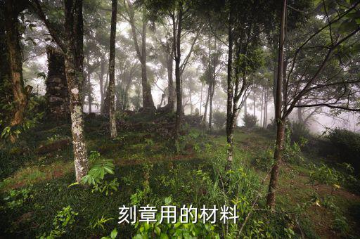 國家規(guī)定專用章用什么材質(zhì)的，刻章用的材料