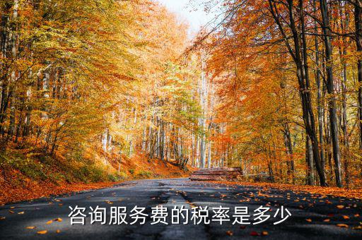 咨詢服務(wù)交什么稅，公司收到一筆咨詢費應(yīng)該如何納稅稅率是多少急謝謝