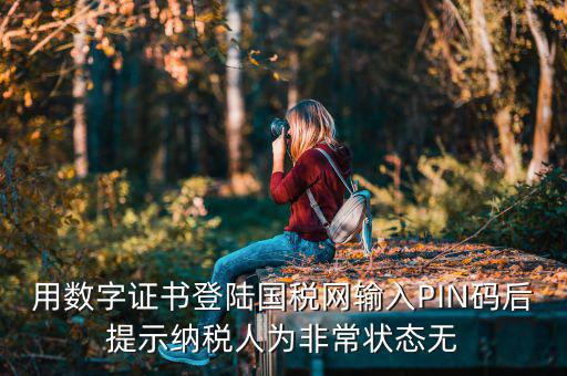 用數(shù)字證書登陸國(guó)稅網(wǎng)輸入PIN碼后提示納稅人為非常狀態(tài)無