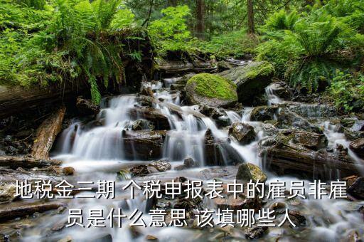 個(gè)稅申報(bào)人員是什么，地稅金三期 個(gè)稅申報(bào)表中的雇員非雇員是什么意思 該填哪些人