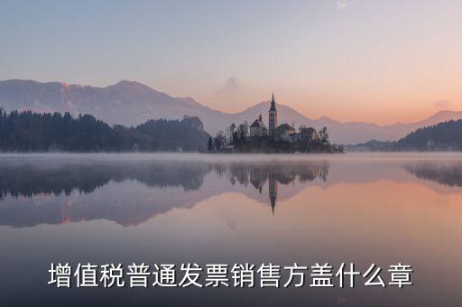 發(fā)票稅務(wù)章什么樣的，增值稅普通發(fā)票銷售方蓋什么章