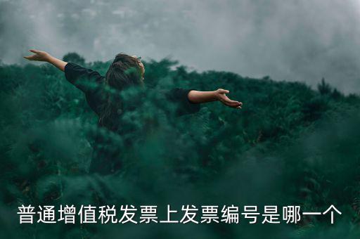 增值稅編號(hào)是什么，普通增值稅發(fā)票上發(fā)票編號(hào)是哪一個(gè)