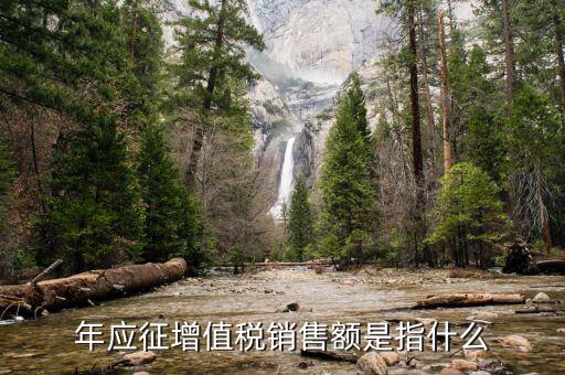 年度應(yīng)征額是什么意思，年應(yīng)征增值稅銷售額是指什么