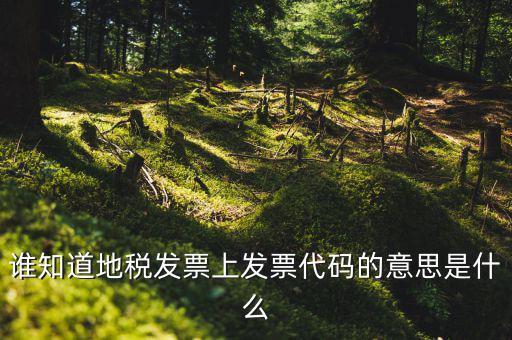 河北地稅發(fā)票的查詢碼是什么意思，如何查詢地稅發(fā)票開票點(diǎn)注冊(cè)碼是什么