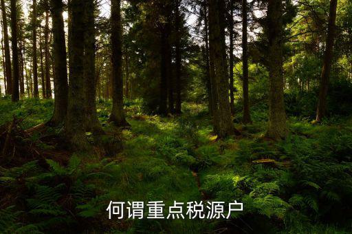 為什么要填重點(diǎn)稅源啊，重點(diǎn)稅源的介紹