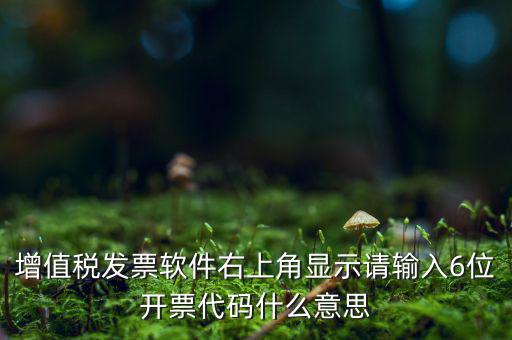 發(fā)票查詢校驗(yàn)碼后六位是什么，發(fā)票驗(yàn)證碼是什麼
