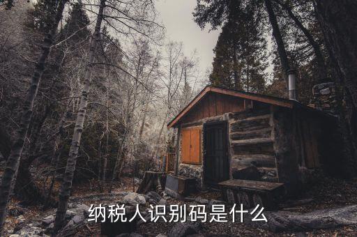稅務(wù)識(shí)別碼有什么用，納稅人識(shí)別碼是什么