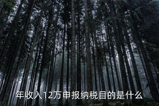 為什么12萬要報(bào)稅，年收入12萬個稅申報(bào)為什么要申報(bào)