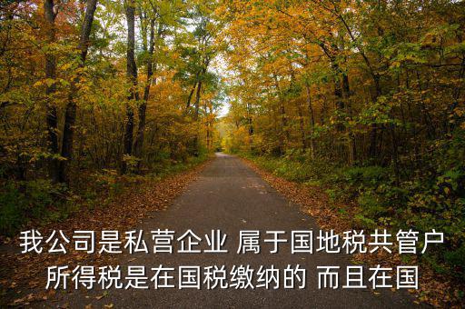 國(guó)地共管需要叫什么稅，國(guó)稅地稅共管公司都需要每個(gè)月報(bào)稅嗎意思就是說(shuō)我每個(gè)月地稅
