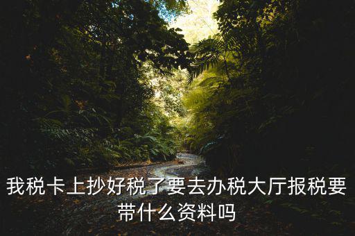 報(bào)稅廳抄報(bào)需要帶什么資料，抄稅需要帶些什么資料