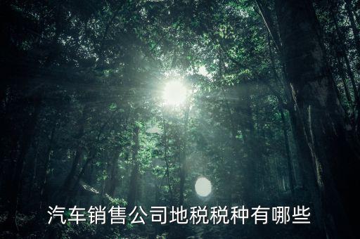 銷售汽車繳納什么稅，一般納稅人公司銷售使用過的汽車要交哪些稅