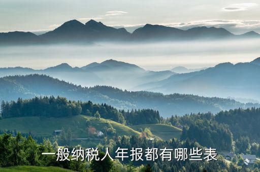 國(guó)稅年報(bào)是什么表，年報(bào)是指哪些報(bào)表是112月的嗎