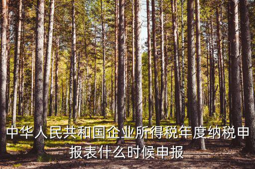 國(guó)稅企業(yè)所得稅什么時(shí)候申報(bào)，企業(yè)所得稅申報(bào)時(shí)間