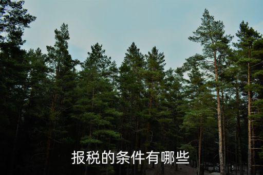 集團(tuán)公司的申報(bào)納稅有什么要求，公司申請申請一般納稅人需要條件