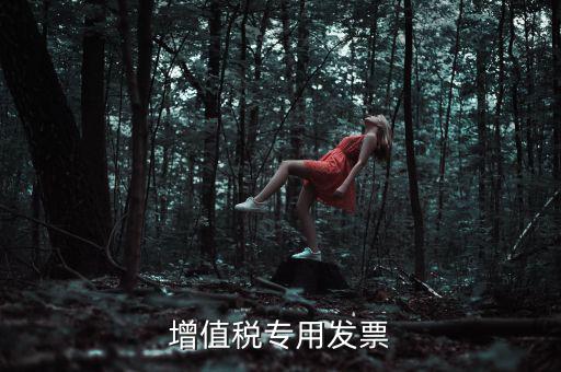 什么是增值稅專(zhuān)業(yè)發(fā)票，什么是增值稅發(fā)票
