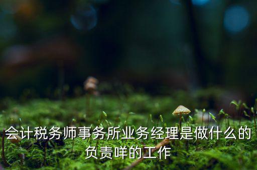 稅務(wù)師事務(wù)所做什么的，稅務(wù)所是干什么的