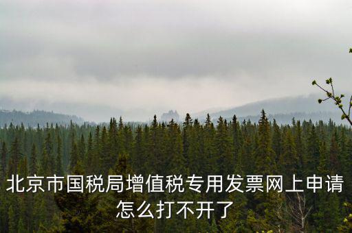 北京市國(guó)稅局增值稅專(zhuān)用發(fā)票網(wǎng)上申請(qǐng)?jiān)趺创虿婚_(kāi)了